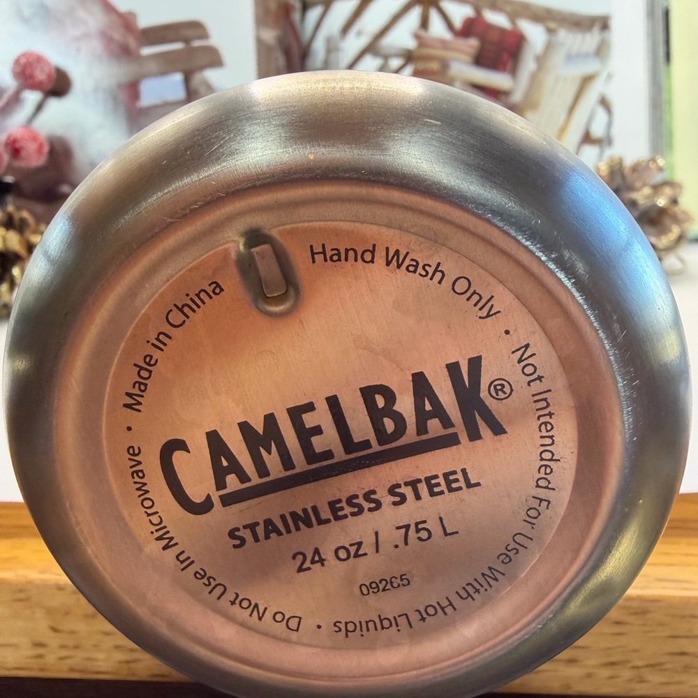 ā„ļøā„ļø Last Chanceā„ļøā„ļø CamelBak Silver Stainless Steel Water Bottle - Ski Graphic - Picture 3 of 13